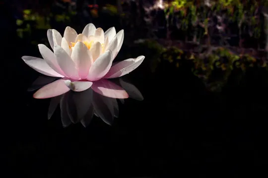 支持中心背景